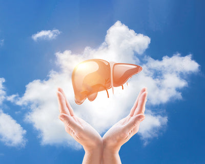 Boost Liver Health Naturally with LIVRATER: Your Path to a Healthy Liver